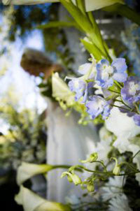 Il mazzo di fiori amico dell'ambiente