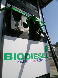Ricercatori sudcoreani sviluppano una tecnologia che produce a basso costo biodiesel dai fanghi di depurazione delle acque