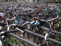 In Olanda i problemi di traffico sono dovuti alle troppe... biciclette