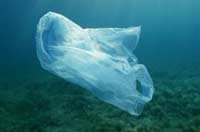 Anche se smettessimo oggi di buttarli in mare, ci vorrebbero secoli per smaltire i rifiuti gia' presenti