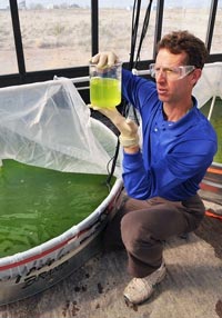 Per i biocarburanti prodotti dalle alghe emissioni di CO2 fino al 70% inferiori rispetto al petrolio