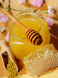 Se il miele è fatto con polline OGM per il Parlamento Europeo non va scritto in etichetta