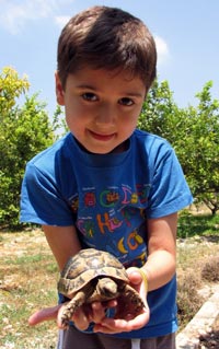 TV, Internet e i videogiochi mettono in serio rischio la biodiversità