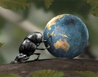 Per capire i cambiamenti climatici basta chiedere agli scarafaggi