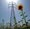 ecologia, ambiente, sostenibilità, energie rinnovabili, risparmio energetico, edilizia sostenibile, fotovoltaico, biomasse, impronta ecologica