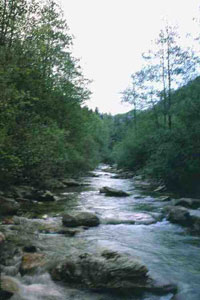 Ambiente: gli ecosistemi fluviali sono in pericolo