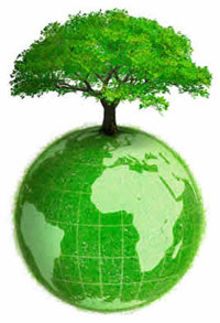 Sensibilizzazione ambientale: una giornata per gli alberi