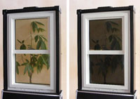 La finestra che si adatta automaticamente alla temperatura esterna per migliorare il risparmio energetico