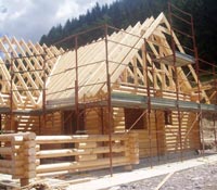 Gira che ti rigira è sempre il legno il materiale edile più sostenibile