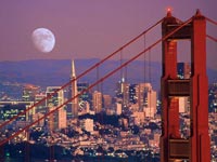 A San Francisco grattacieli più sicuri per gli uccelli