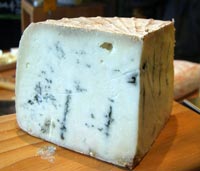 Grazie ai funghi del gorgonzola ecco la plastica capace di pulirsi da sola