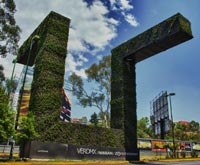 Giardini verticali per aiutare a ripulire l'aria della megalopoli più inquinata al mondo: Citta' del Messico