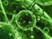 Virus: nuova fonte di energia?