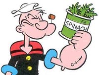 Celle solari che utilizzano spinaci per produrre energia? Troppo forti...