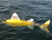 Ecco il pesce robot che sa scovare le zone marine inquinate senza disturbare la fauna 