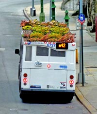 Autobus verdi 1 - Il giardino si muove sul bus