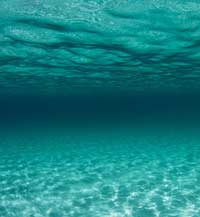 Sfruttare la pressione marina per produrre energia? Per i norvegesi si può fare...