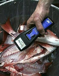 Il dopo Fukushima - In Corea del Sud mercato del pesce in profonda crisi