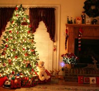 Per il prossimo Natale sono sei i milioni di alberi (veri) che entreranno nelle case degli Italiani