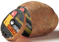 Stop al commercio della patata OGM Amflora