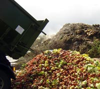 Solo in Italia finiscono nella spazzatura 5 milioni di tonnellate l'anno di alimentari commestibili