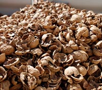 produrre energia gusci noci, energia scarti lavorazione noci, fertilizzanti naturali scarti produzione noci, noci California, Dixon Ridge Farms