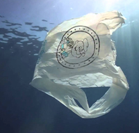 Per la prima volta i rifiuti di plastica raggiungono il Mar Artico