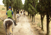 Ecoturismo: vacanze ecologiche a cavallo