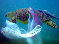 Sensibilita' ambientale: come gli italiani sostituiscono i sacchetti di plastica