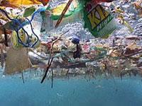 Allarme rifiuti: sono 500 le tonnellate di plastica che vaga nei nostri mari