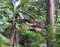 Samasati, un eco rifugio in Costa Rica 
