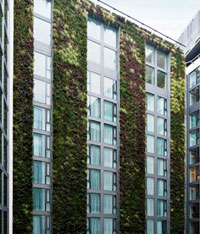 Succede a Londra: se il giardino è... verticale