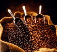 Scarti di caffe' per produrre energia elettrica