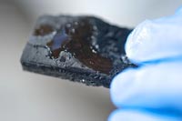 La nanospugna in grado di assorbire petrolio per ben 100 volte il proprio peso