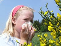 Meno biodiversità in città = più allergie e asma