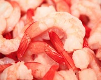 Oltre che buoni da mangiare i gamberetti possono servire anche per produrre bioplastica