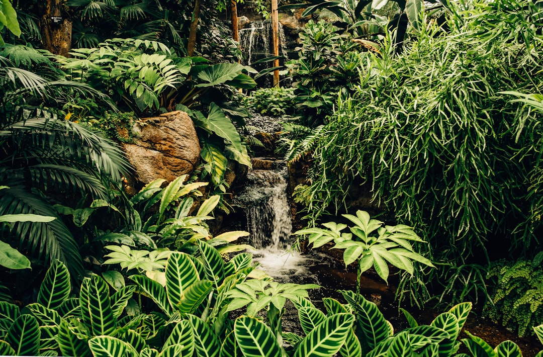 L'Amazzonia si rivela più resiliente del previsto, ma il punto di non ritorno si avvicina