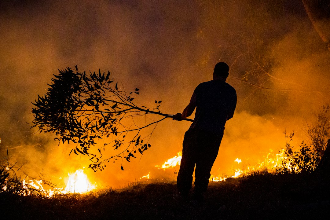 Amazzonia, la siccità legata a El Niño alimenta gli incendi: il peggio potrebbe arrivare