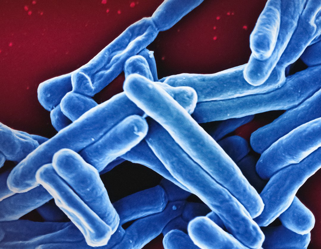 Antibiotici sempre meno efficaci, allevamenti e clima aggravano la resistenza