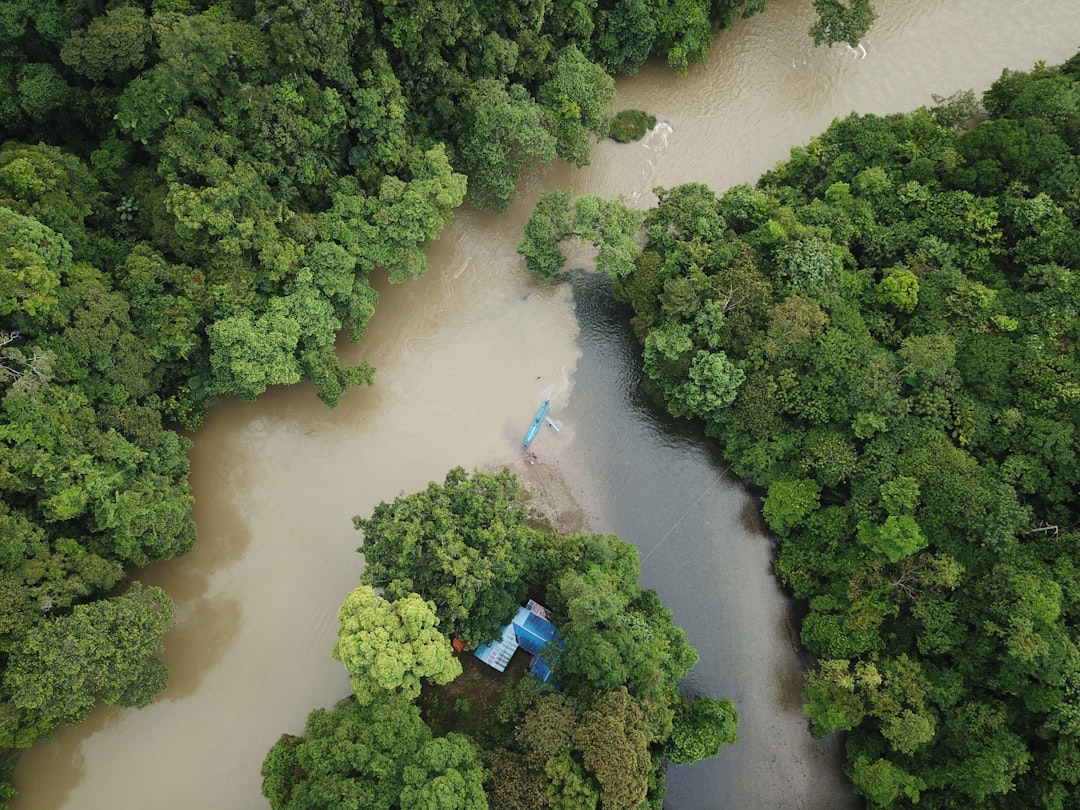 ONG e comunità locali: il modello che protegge foreste e persone