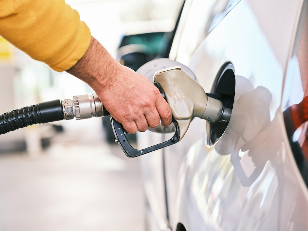 Cinque big dell'ambiente sfidano Washington sui consumi auto