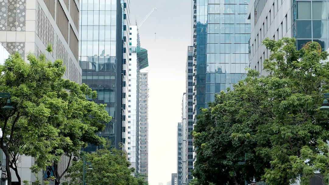 Alberi urbani più resistenti agli stress climatici in oltre tre città su quattro