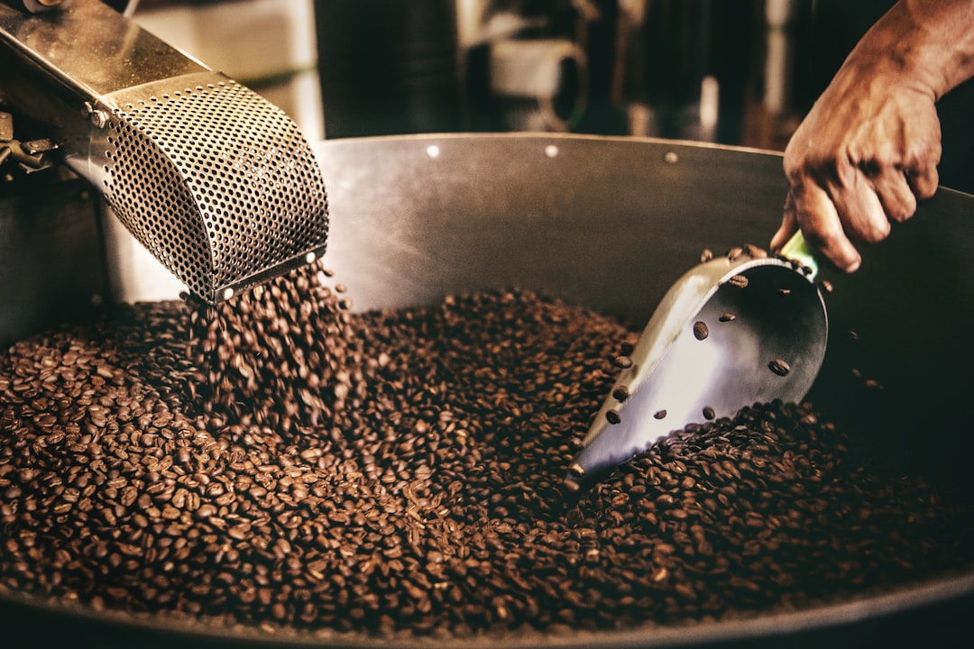 In Vietnam la coltivazione del caffè mette sotto pressione acqua e suoli