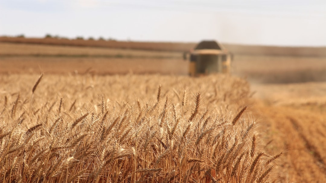 Per azzerare le emissioni agricole entro il 2030 servirebbe un progresso del 70% l'anno