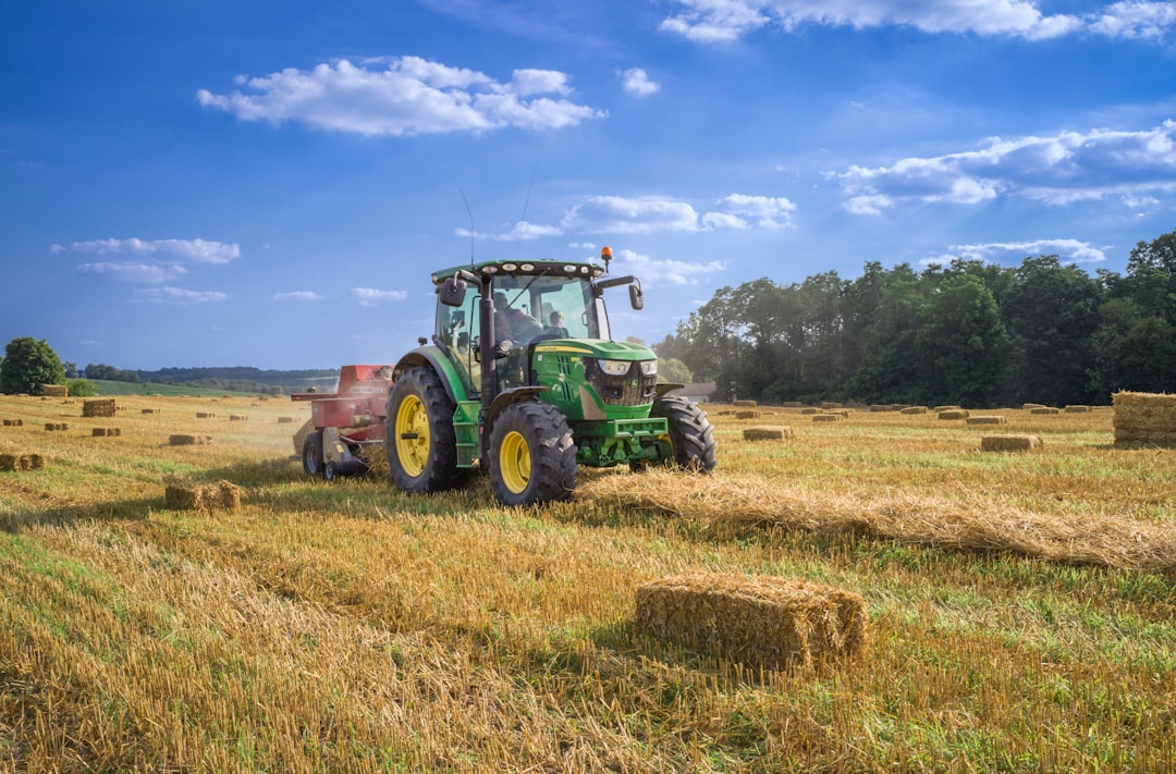 Se il mondo mangiasse meglio, le emissioni agricole crollerebbero dell''85%