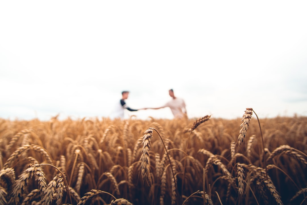 Vincoli di conservazione per salvare i terreni agricoli dalla cementificazione