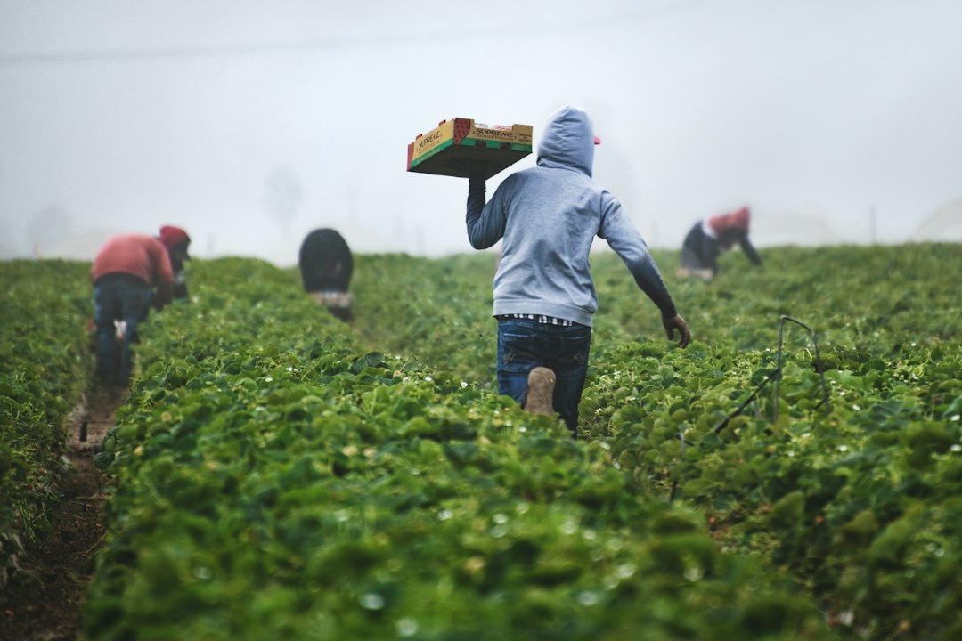 Sistema alimentare, oltre 400 milioni di lavoratori sotto un salario dignitoso