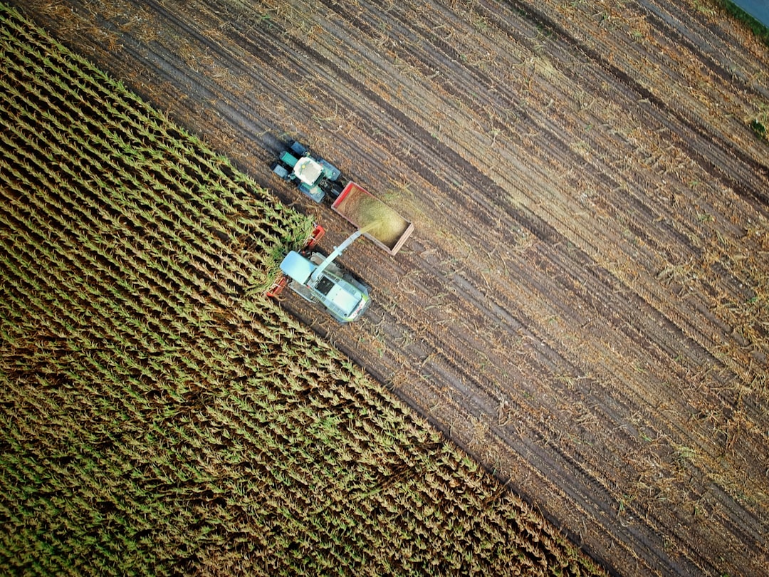 Agricoltori britannici in allarme: la sicurezza alimentare non è scontata