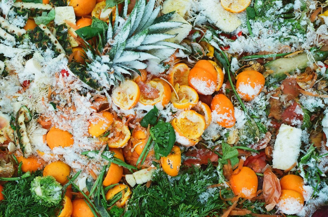 Cibo sprecato, circa un terzo della produzione mondiale va perso o buttato