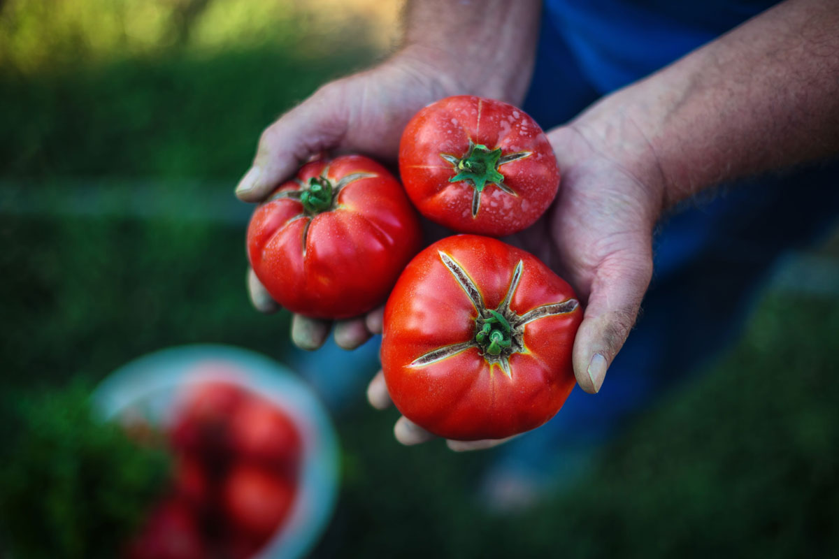 Biologico italiano: cresce il mercato, ma si riduce la rete specializzata
